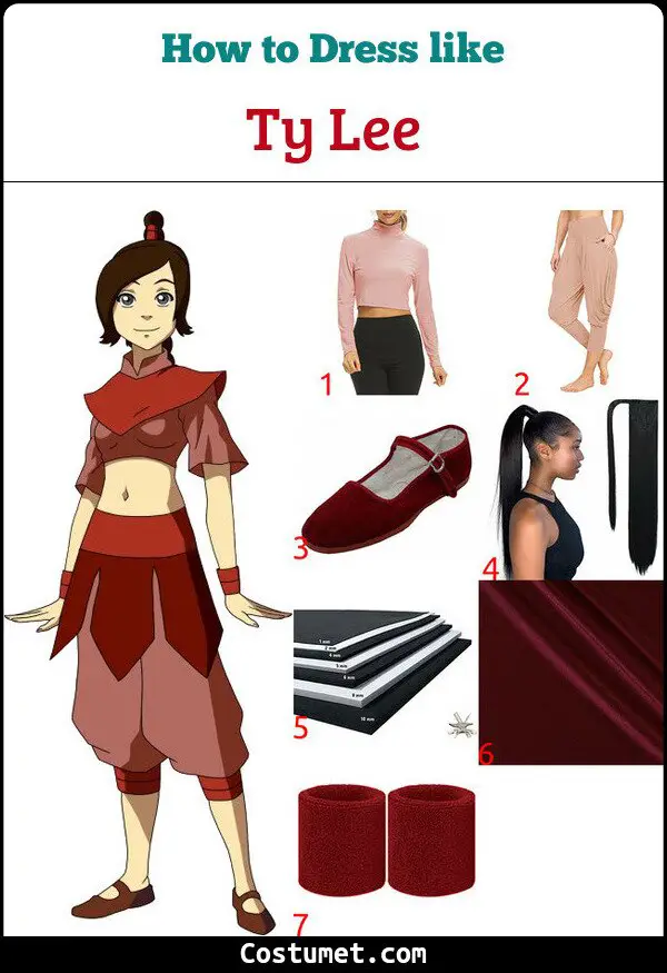 Ty Lee (Avatar The Last Airbender) Costume for Cosplay & Halloween 2023