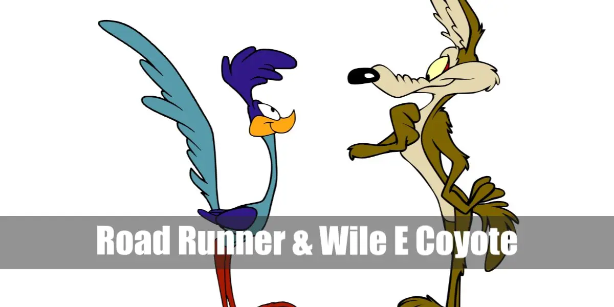 Road Runner & Wile E Coyote Costume (Looney Tunes) for Cosplay & Halloween