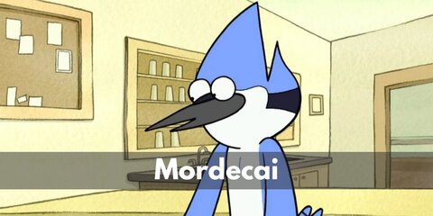 Mordecai's costume can be DIY-ed with a blue shirt, bird feathers, leggings, and blue hair dye.