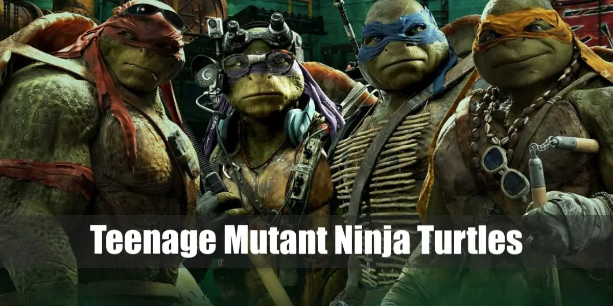 Teenage Mutant Ninja Turtles Costume for Halloween