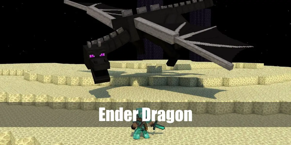 Ender Dragon Costume from Minecraft for Cosplay & Halloween