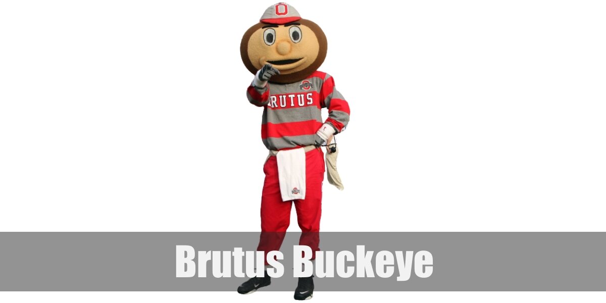 OSU BRUTUS BUCKEYE MASCOT PET COSTUME