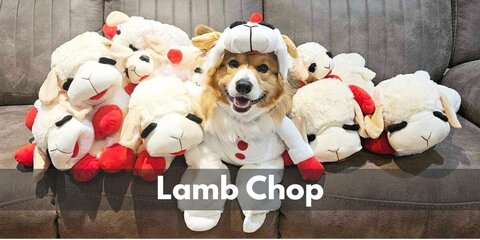 Shari Lewis' Lamb Chop Costume