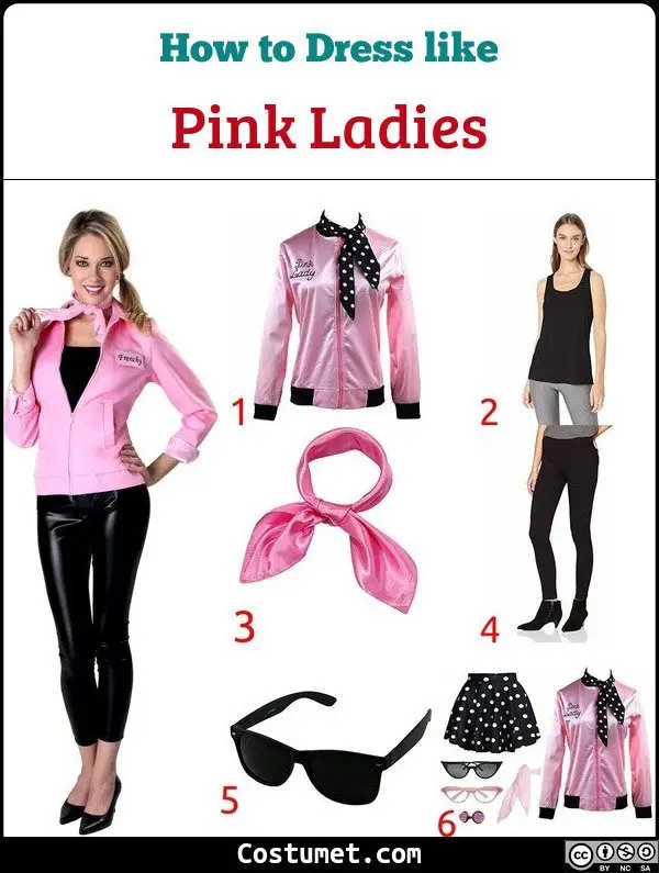 Pink Ladies Grease Costume For Cosplay And Halloween