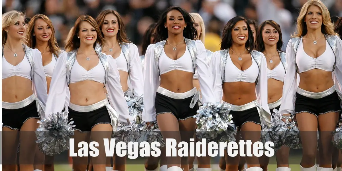 Las Vegas Raiderettes Costume for Cosplay & Halloween 2023